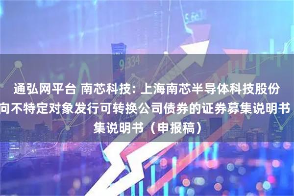 通弘网平台 南芯科技: 上海南芯半导体科技股份有限公司向不特定对象发行可转换公司债券的证券募集说明书（申报稿）